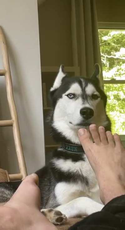 He had no interest in smelling my feet