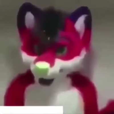 UwU daddy