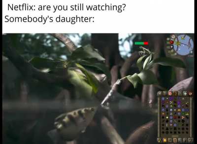 Credit to TierZoo for giving me the idea