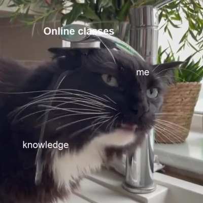 not getting a sip