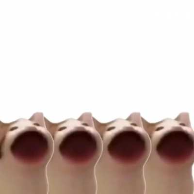 I didn’t make the images, but I am the one who edited them to sing correctly