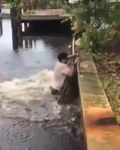 He showed it who was boss