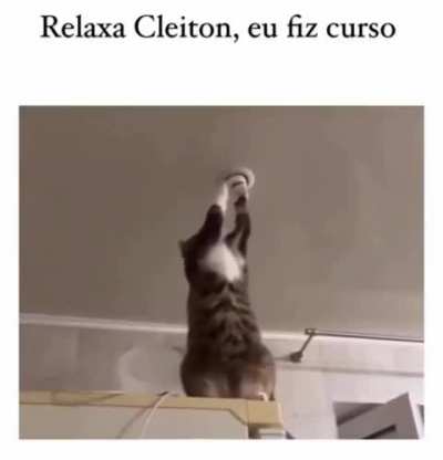 Ensinei bem