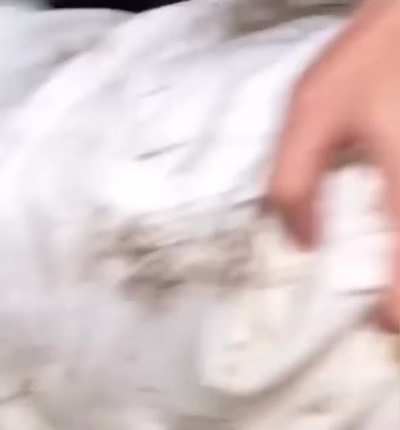 ?
