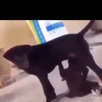 Wtf I have seen