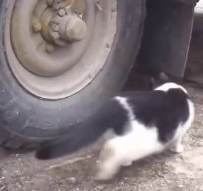 "Please don't blow this for me"