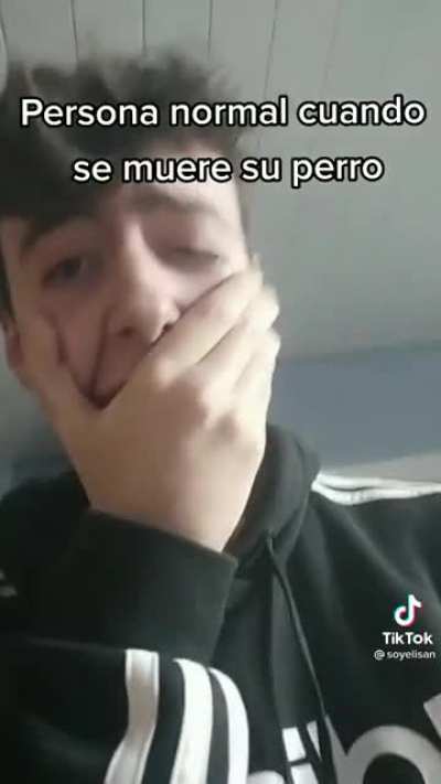 bro momentos