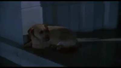 Garfield 1 no download full movie no virus FREE no subttitles HD punjabia watch online