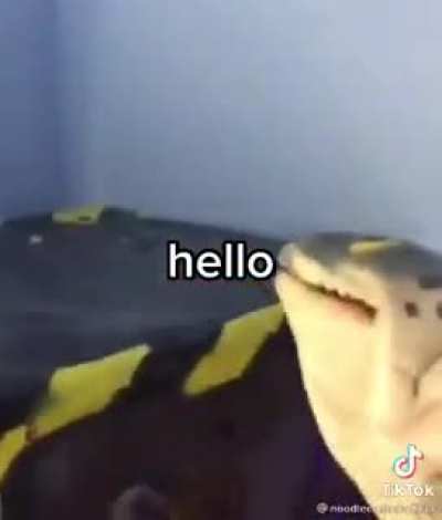 Hello!