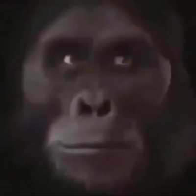 Be monk&eacute;