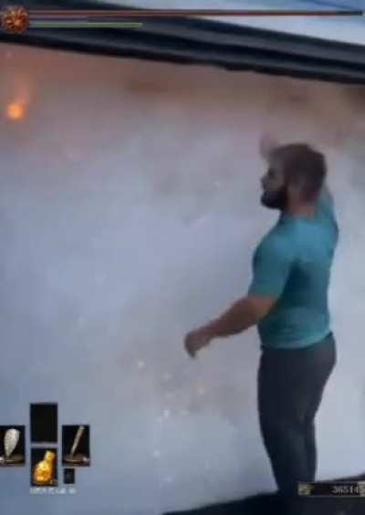 Dark Souls fog doors be like :