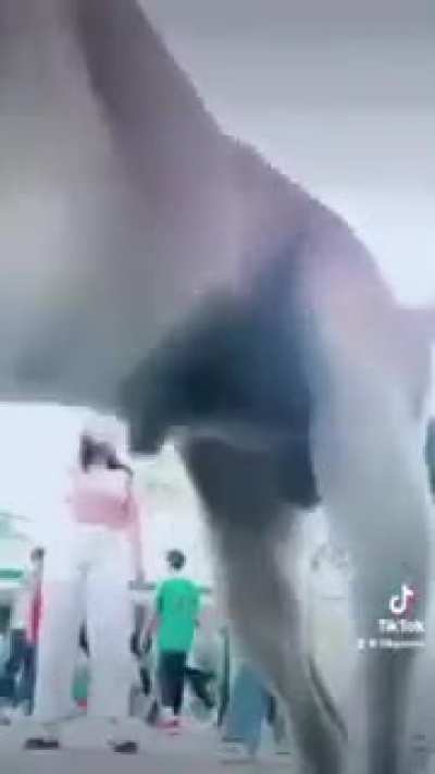 Creating a TikTok on streets.