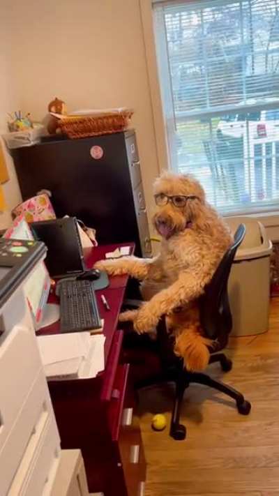 Fred&rsquo;s busy working for the holidays
