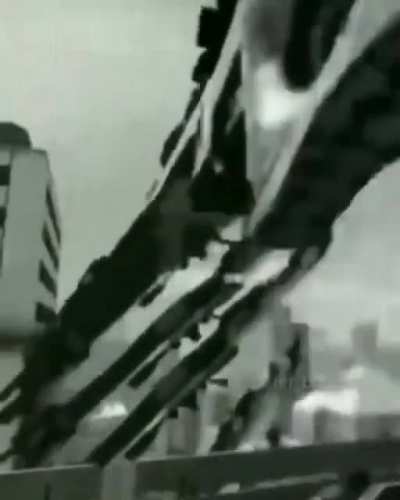 my favorite video on the internet