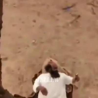 Arabian newton