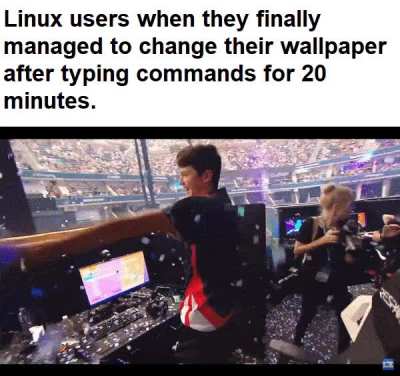 me irl