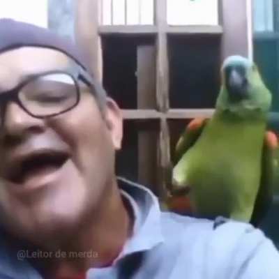 To have fun with the birb