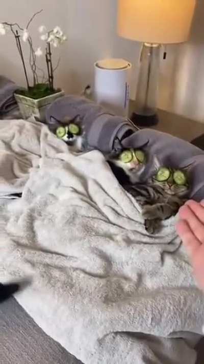 Very relaxing...