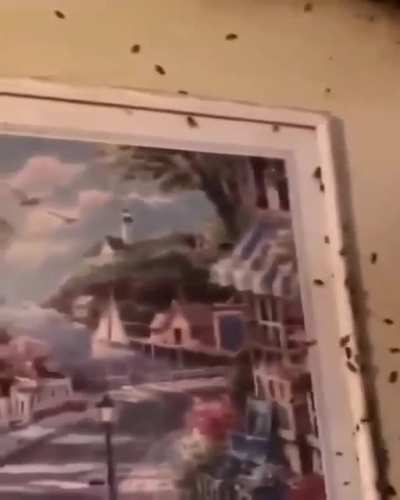 This is what happens if you neckbeards don&rsquo;t use cleaning supplies