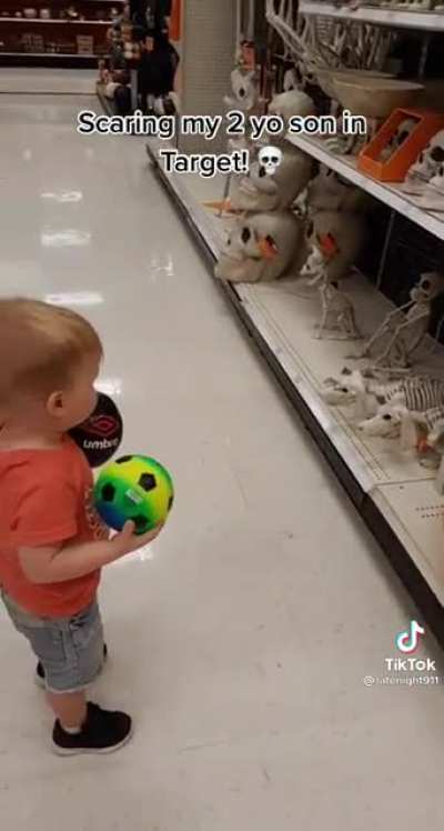 Those are dead puppies