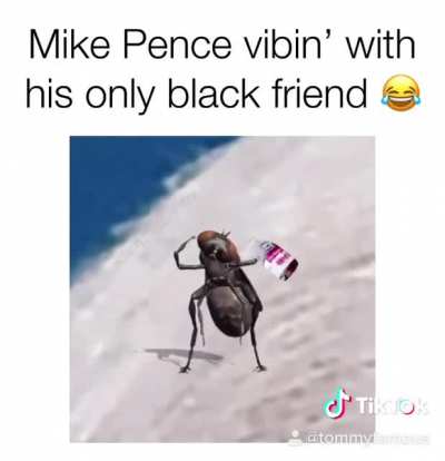 That fly was just vibin up there