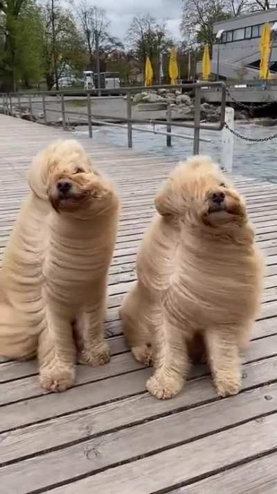 It&rsquo;s a little windy outside