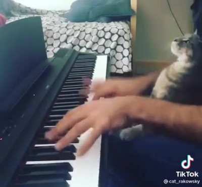 You can tune a piano but you can&rsquo;t tuna cat....