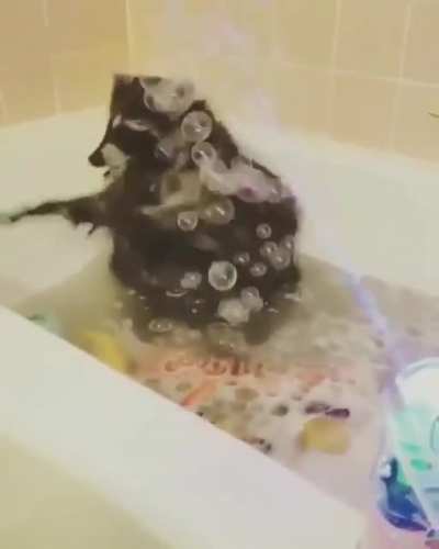 Bubbles...