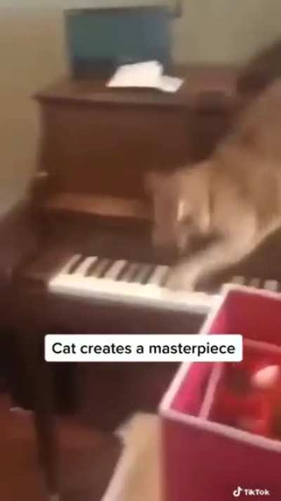a feline wants to get down from a piano