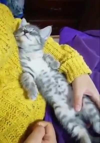 speepy