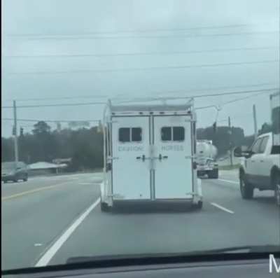 Beware of Horses