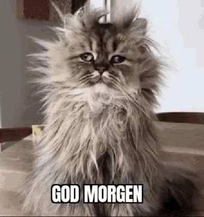 Danes waking up after a night out