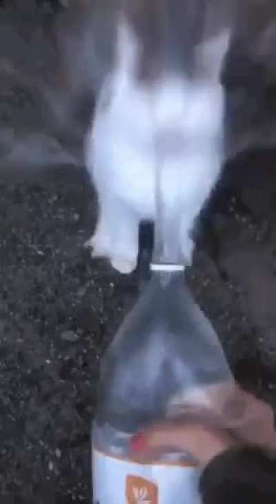 Cate