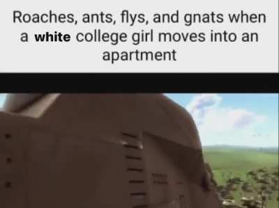 insects assemble