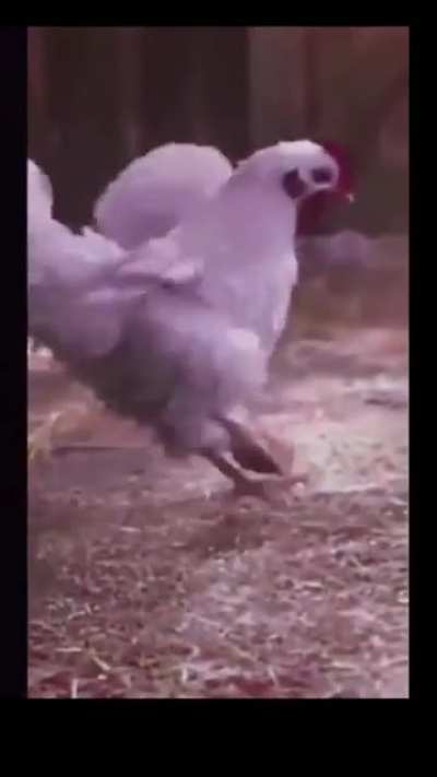 Vc esta vendo um mestre trabalhando