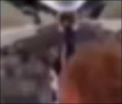 I&acirc;m bout to bomb this whole motufuckin plane