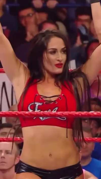 The Bella Twins posing over Ronda