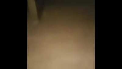 my pet dog