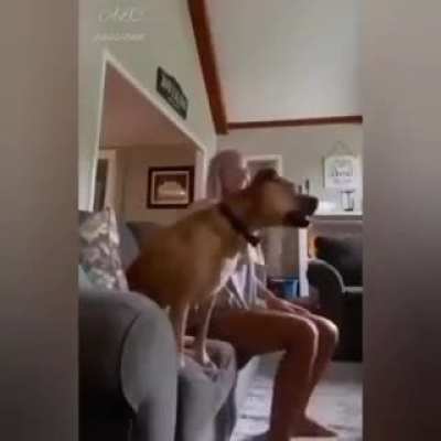 Настоящий фанат