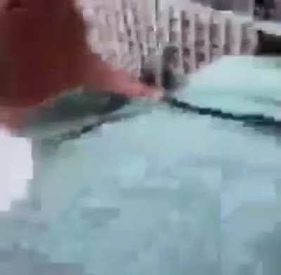 Assim que os gringos v&atilde;o aprender portugu&ecirc;s kkkk