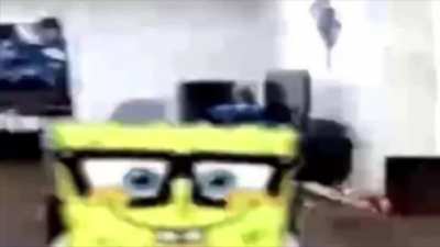 Spongenutt