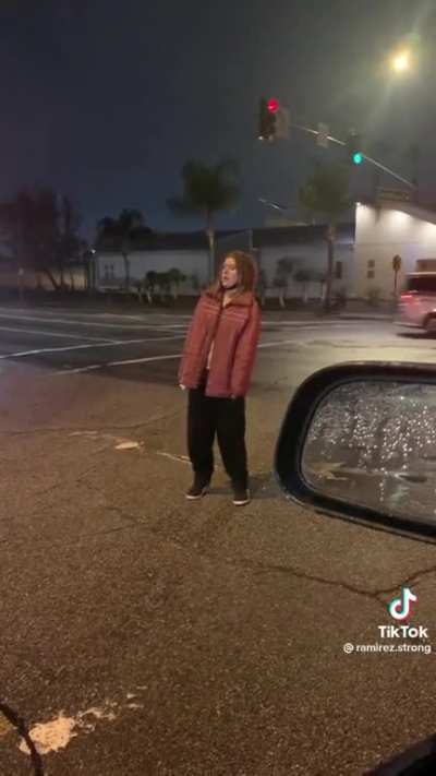 Wait, what kind of crossing guard is this?