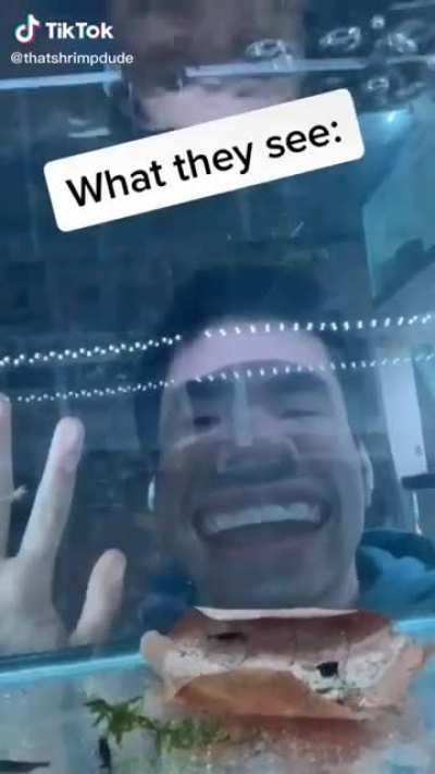 Not my video but this is me 😆