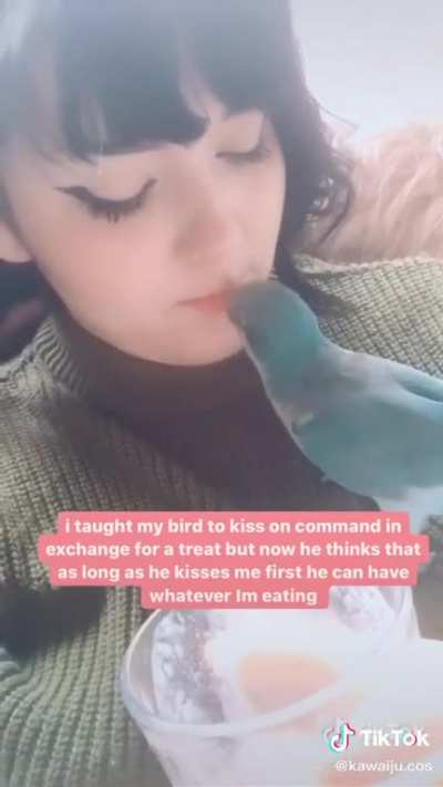 TreatyBirb