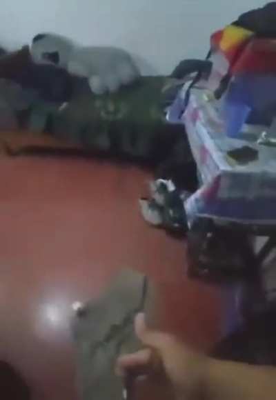 tenso
