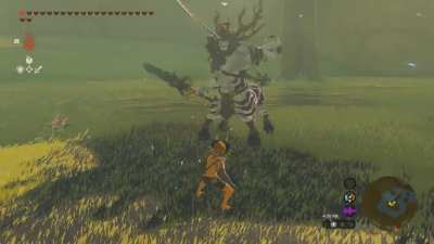 beating a Lynel with a shield