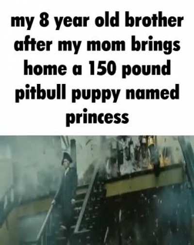 Thought I would post a meme to cheer all of you up after the pit nutters came to brigade our humble sub :)