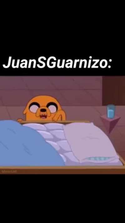 experto en camas