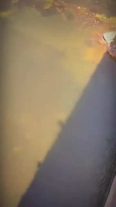 Tries to be Neymar, loses phone off a bridge