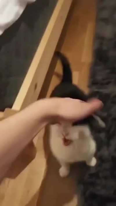 He's enjoying that